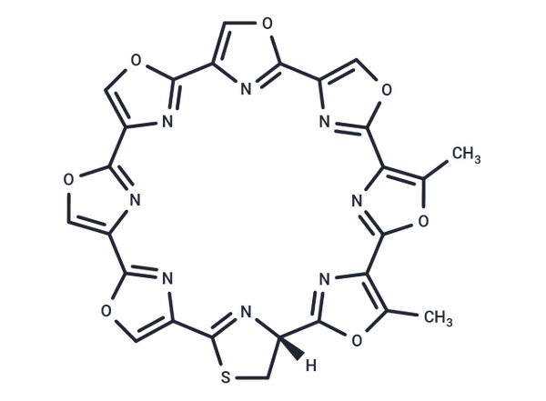 Telomestatin – Figure 1 of 1