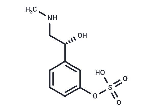Phenylephrine-3-O-Sulfate – Figure 1 of 1