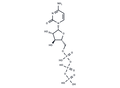 Cytarabine triphosphate – Figure 1 of 1