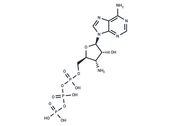 3'-Deoxy-3'-amino-ATP – Figure 1 of 1