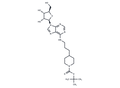 CamA-IN-1 – Figure 1 of 1