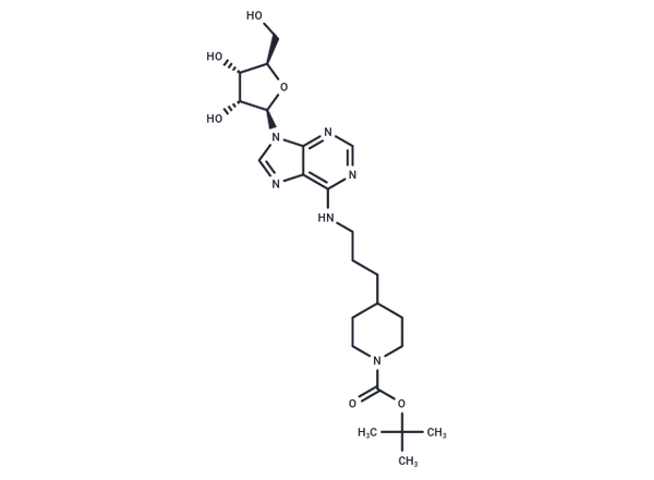 CamA-IN-1 – Figure 1 of 1