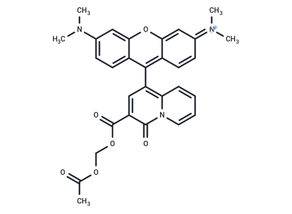KMG-301AM – Figure 1 of 1