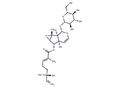 Kickxioside – Figure 1 of 1