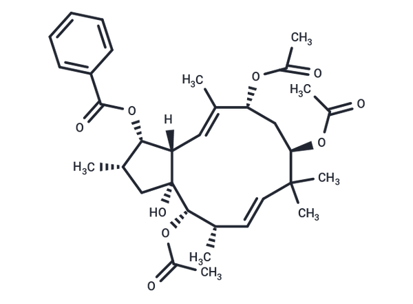 Euphornin – Figure 1 of 1