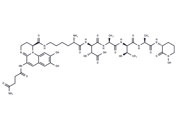 Pseudobactin – Figure 1 of 1