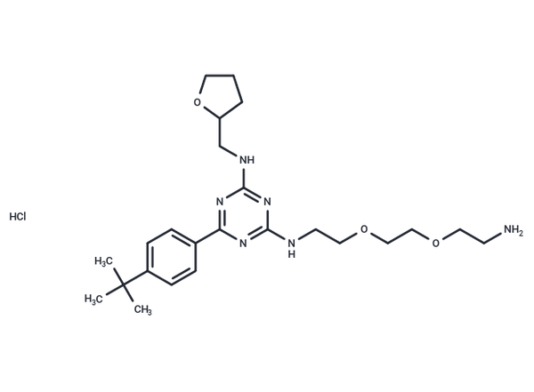 DATPT – Figure 1 of 1