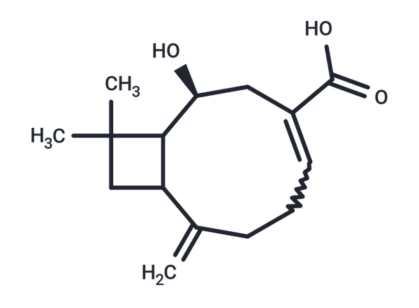 Lychnopholic acid – Figure 1 of 1