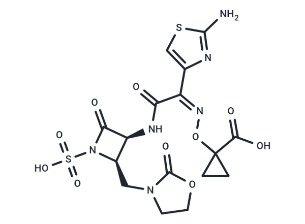 Ancremonam – Figure 1 of 1