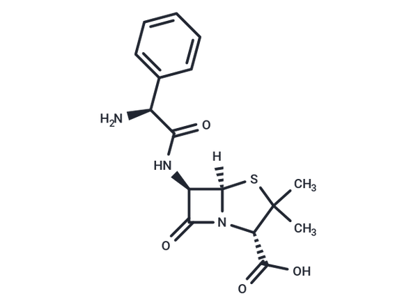 L-(+)-Ampicillin – Figure 1 of 1