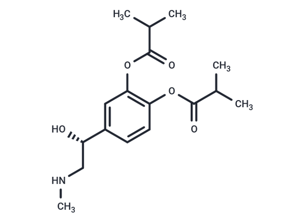 Dibutepinephrine – Figure 1 of 1