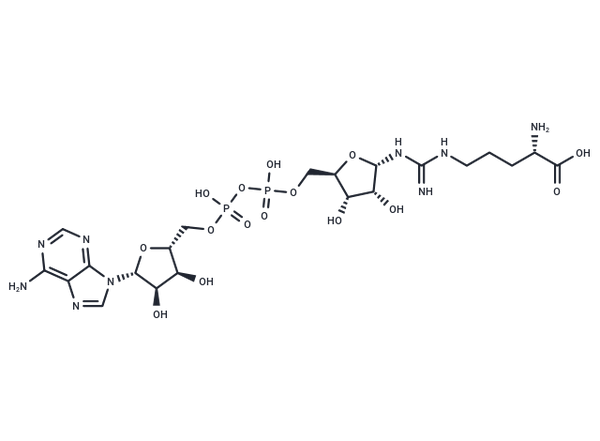ADP-Ribosylarginine – Figure 1 of 1