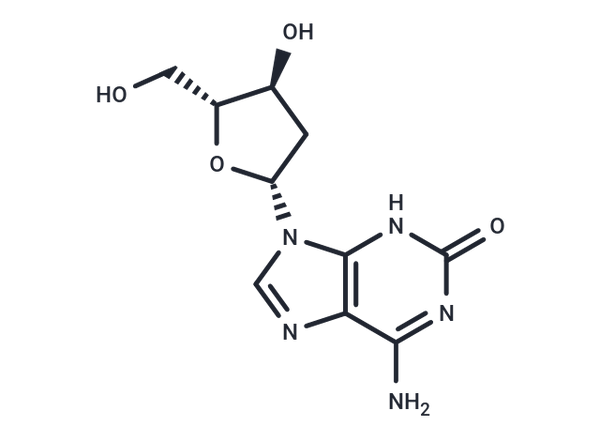 2'-Deoxy-isoguanosine – Figure 1 of 1