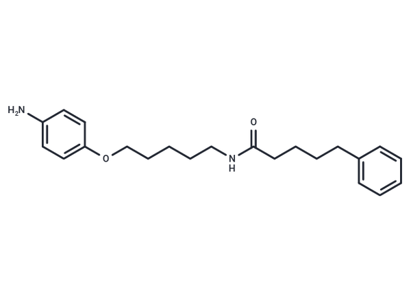 Valeramide, N-(5-(p-aminophenoxy)pentyl)-5-phenyl- – Figure 1 of 1