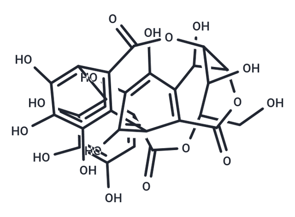 Castalin – Figure 1 of 1