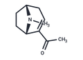 Ferruginine – Figure 1 of 1