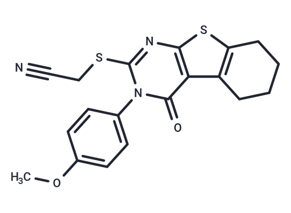 Necrostatin-5 – Figure 1 of 1