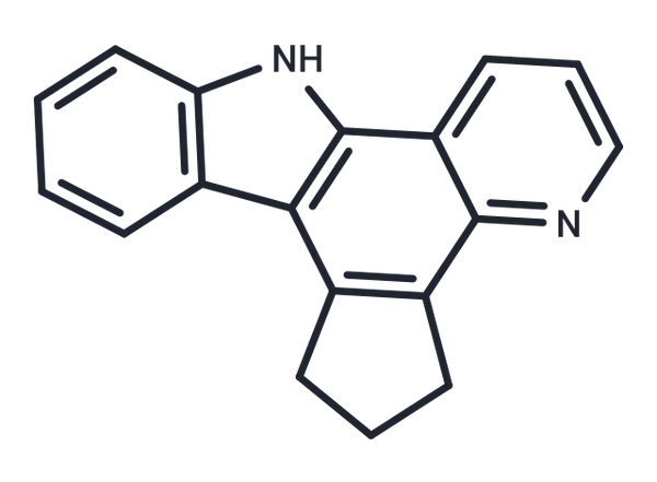 Lys-P-1 – Figure 1 of 1