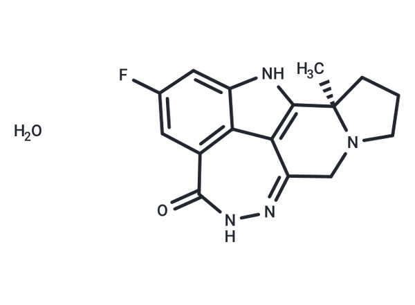 Pamiparib hydrate – Figure 1 of 1