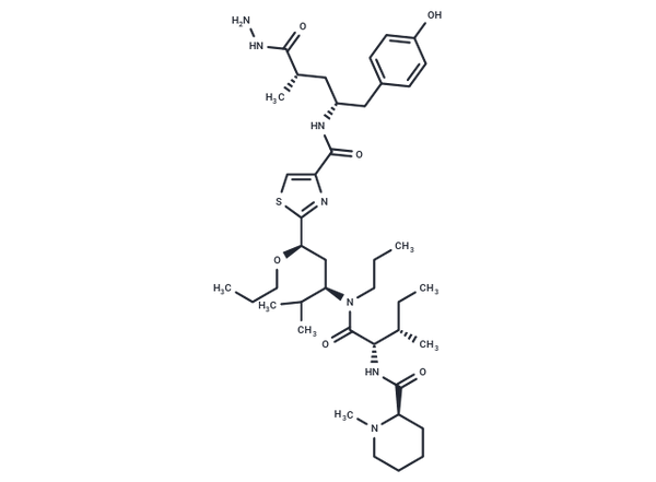 TAM470 – Figure 1 of 1