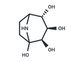 Calystegine B2 – Figure 1 of 1