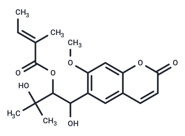 Angelol D – Figure 1 of 1