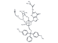 5'-ODMT cEt G Phosphoramidite (Amidite) – Figure 1 of 1