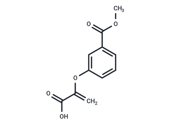 Chorismeron – Figure 1 of 1