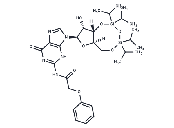 3',5'-TIPS-N-PAc-Guanosine – Figure 1 of 1