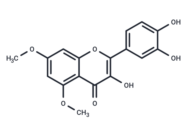 5,7-Di-O-methylquercetin – Figure 1 of 1