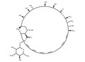 Amphotericin A – Figure 1 of 1