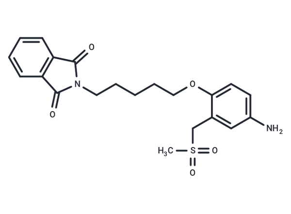 Phthalimide, N-(5-(4-amino-alpha-(methylsulfonyl)-o-tolyloxy)pentyl)- – Figure 1 of 1
