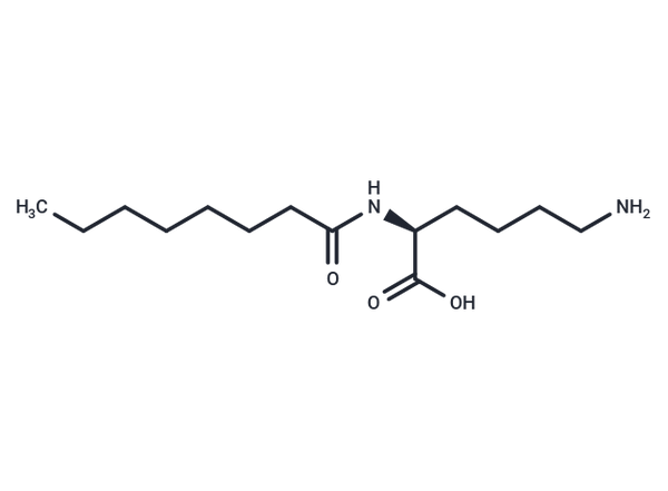 N2-Capryloyl lysine – Figure 1 of 1