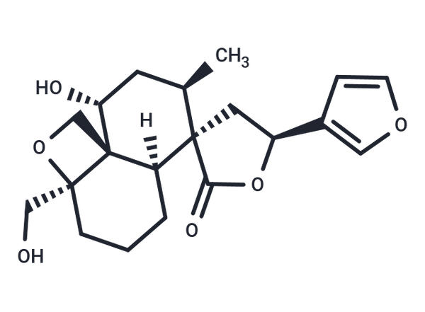 Montanin D – Figure 1 of 1