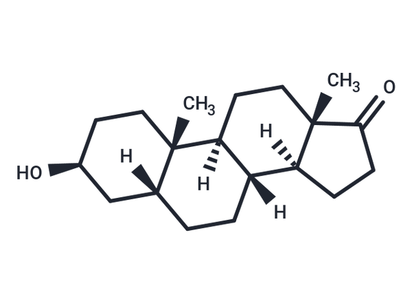 5β-Androstan-3β-ol-17-one – Figure 1 of 1