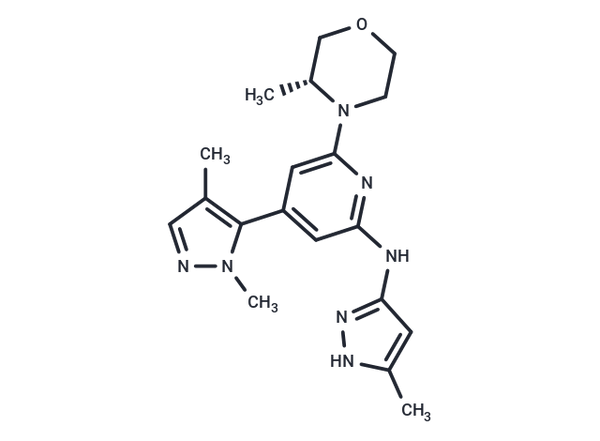 ATR-IN-16 – Figure 1 of 1