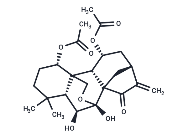 Shikokianin – Figure 1 of 1