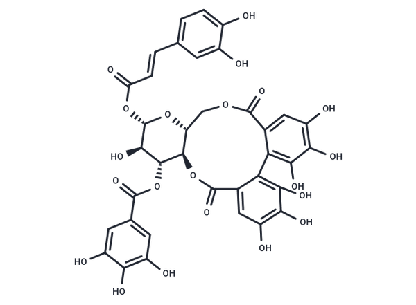 1-O-Caffeoyl-3-O-galloyl-4,6-(S)-hexahydroxydiphen – Figure 1 of 1