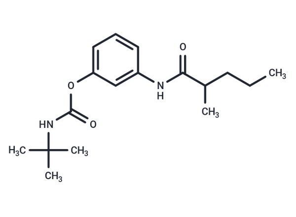 Valeranilide, 3'-hydroxy-2-methyl-, tert-butylcarbamate (ester) – Figure 1 of 1