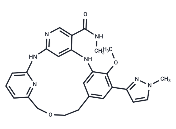 QL-1200186 – Figure 1 of 1