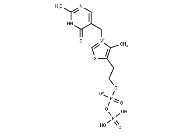 Oxythiamine diphosphate – Figure 1 of 1