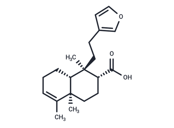 Bacchabolivic acid – Figure 1 of 1