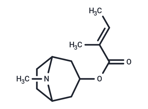 Tigloidine – Figure 1 of 1