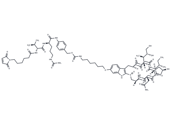 MC-VC-PABC-C6-alpha-Amanitin – Figure 1 of 1