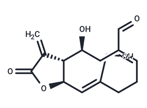 Urospermal – Figure 1 of 1
