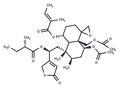 Ajugamarin G1 – Figure 1 of 1