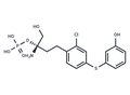 SPM-242 – Figure 1 of 1