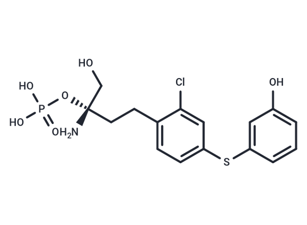 SPM-242 – Figure 1 of 1