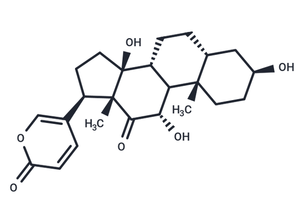 Arenobufagin (Arenobufogenin) – Figure 1 of 1