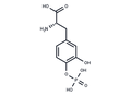 Foslevodopa – Figure 1 of 1